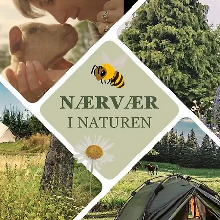 キャンプ場 Langeland Rudkøbing