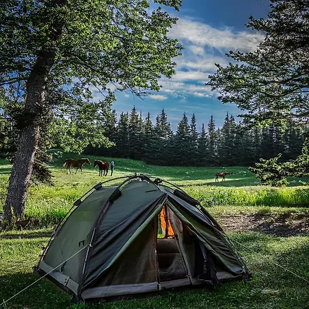 Campsite Langeland