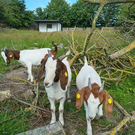 Langeland Campingplatz