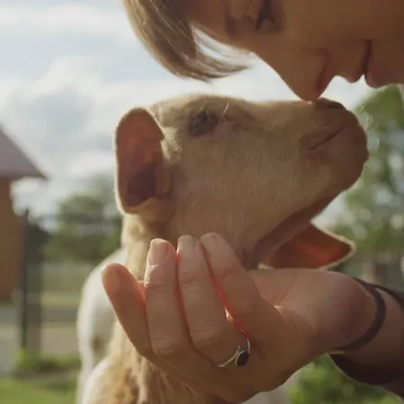Campingplatz Langeland