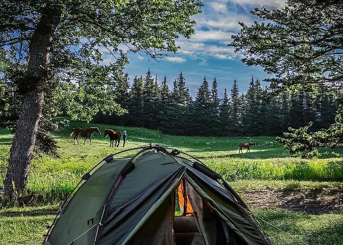 Campingplatz Langeland