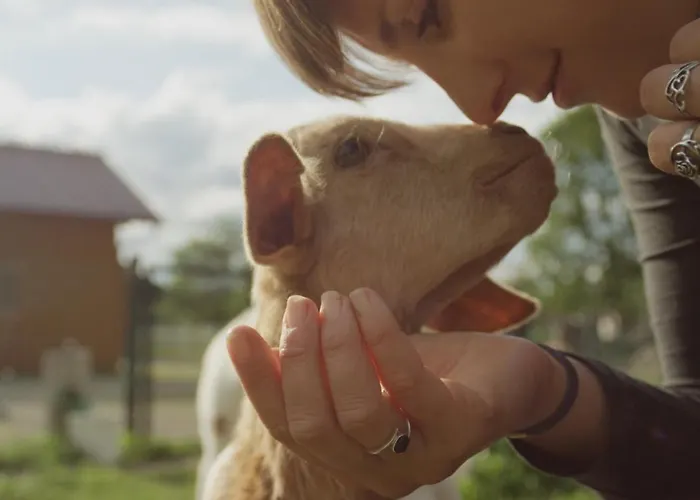 Campingplatz Langeland